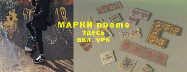 сатива Новокубанск