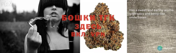 стаф Баксан