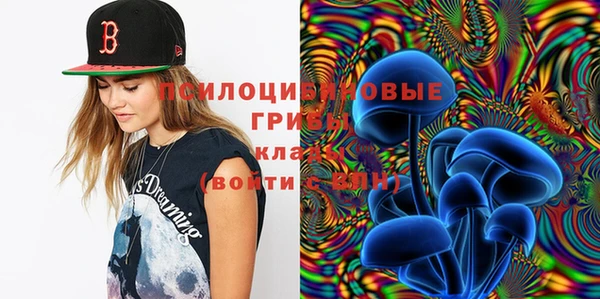 стаф Баксан