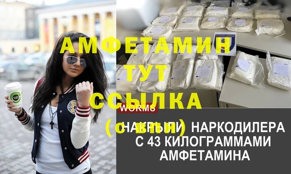 стаф Баксан