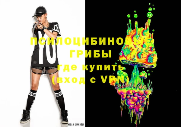 стаф Баксан