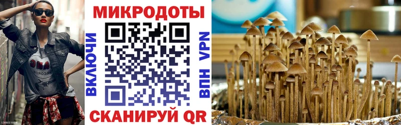 Псилоцибиновые грибы Psilocybe  сколько стоит  Черняховск 